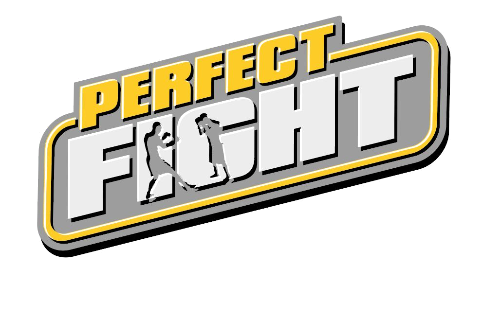 Perfect Fight